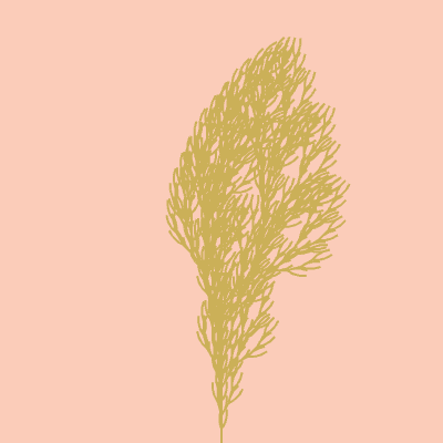 An L-system tree, highly recursive structure, pink background and wheat-ish colour.