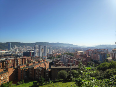 The city of Bilbao. Vegetation in the foreground. Cloudless sky. Sunny. Buildings and mountains stretch off into the distance.