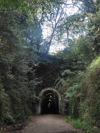 A long and dark tunnel, with some lights. The entrance is surrounded by trees and plants.
