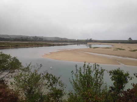 Some swampy and sandy land. Lots of water.
